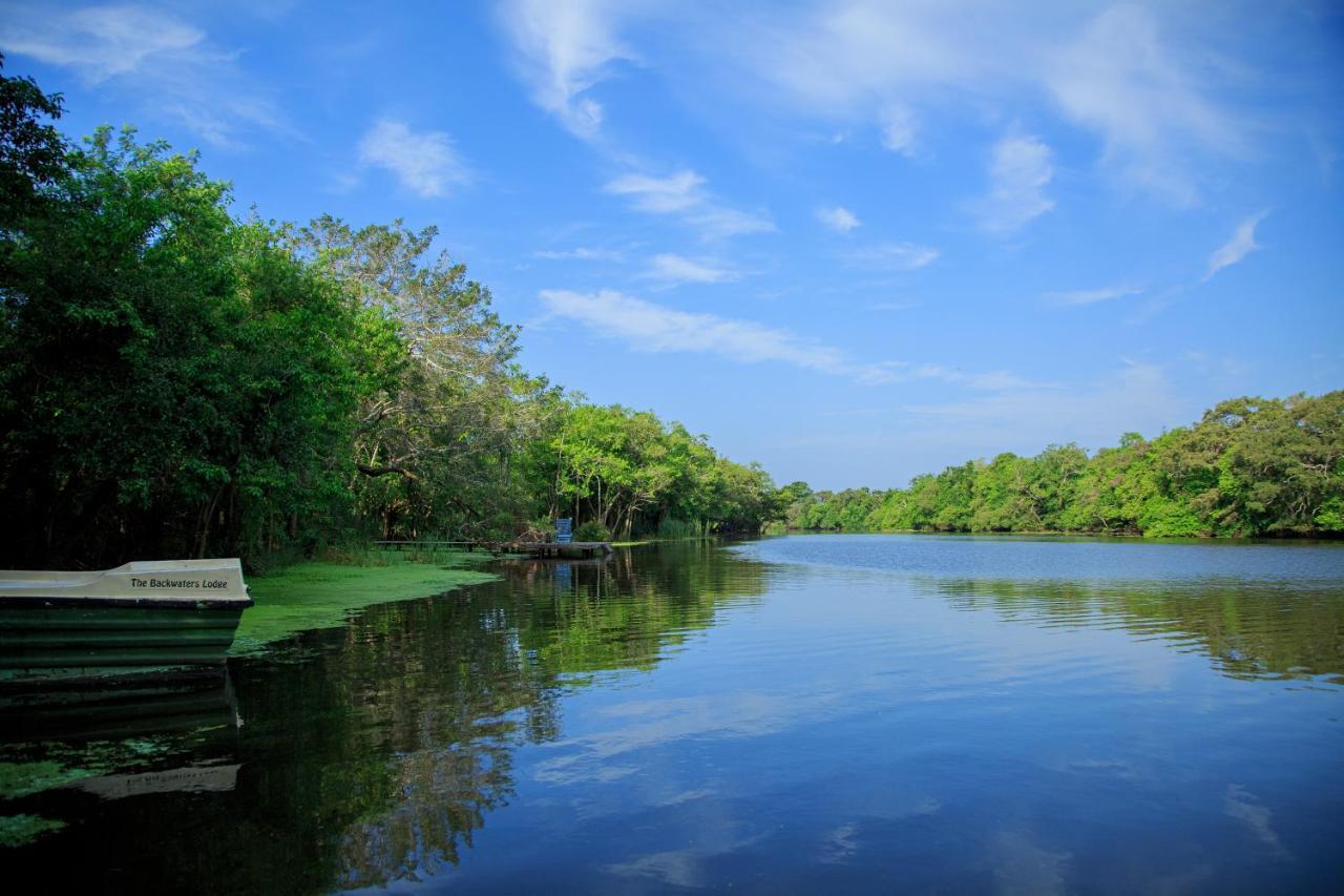 The Backwaters Lodge 윌파투 외부 사진