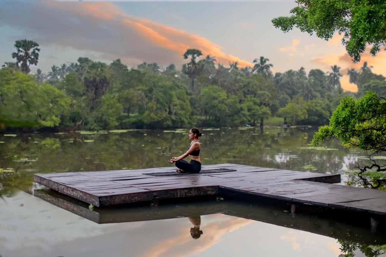 The Backwaters Lodge 윌파투 외부 사진