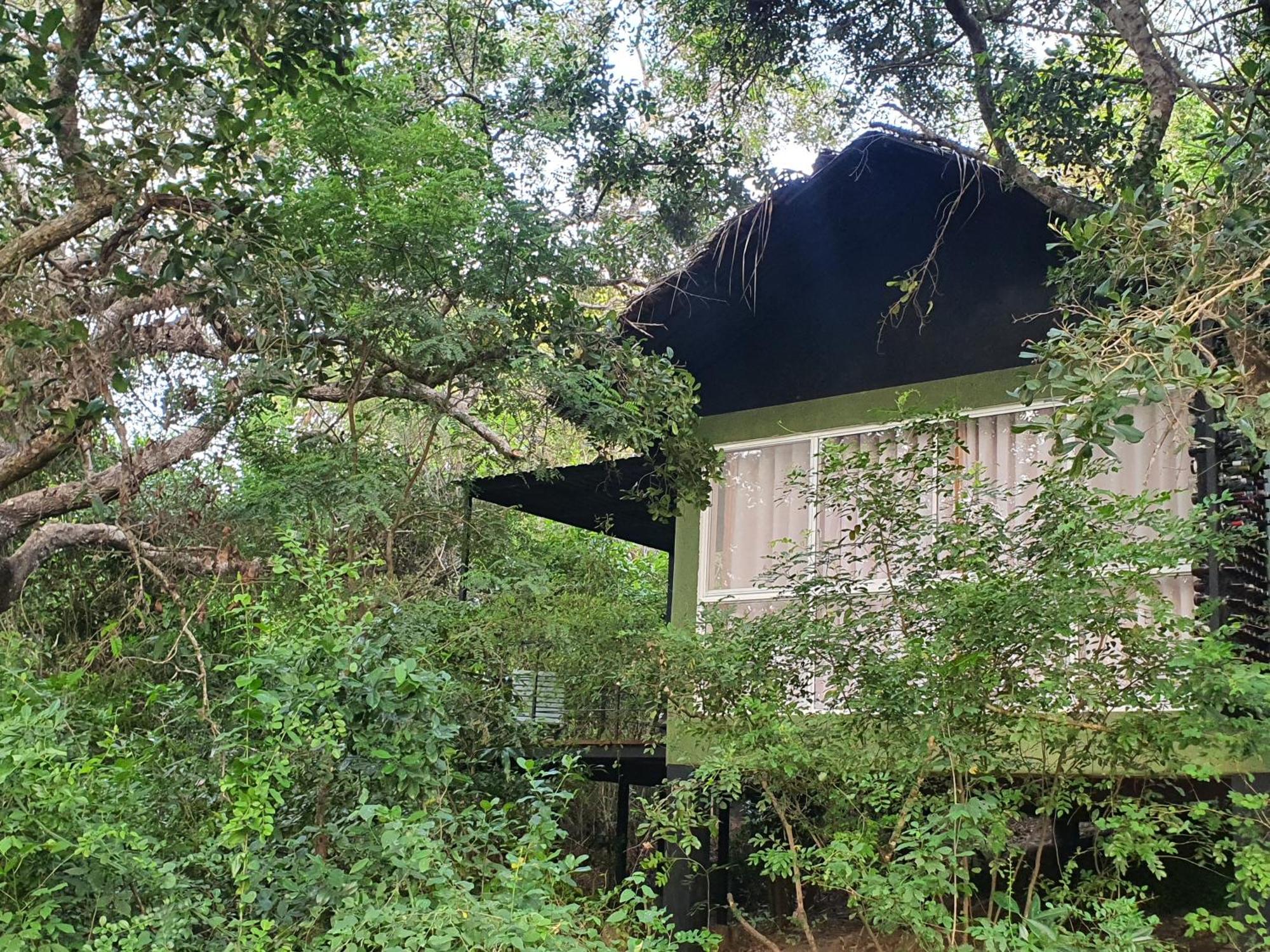 The Backwaters Lodge 윌파투 외부 사진