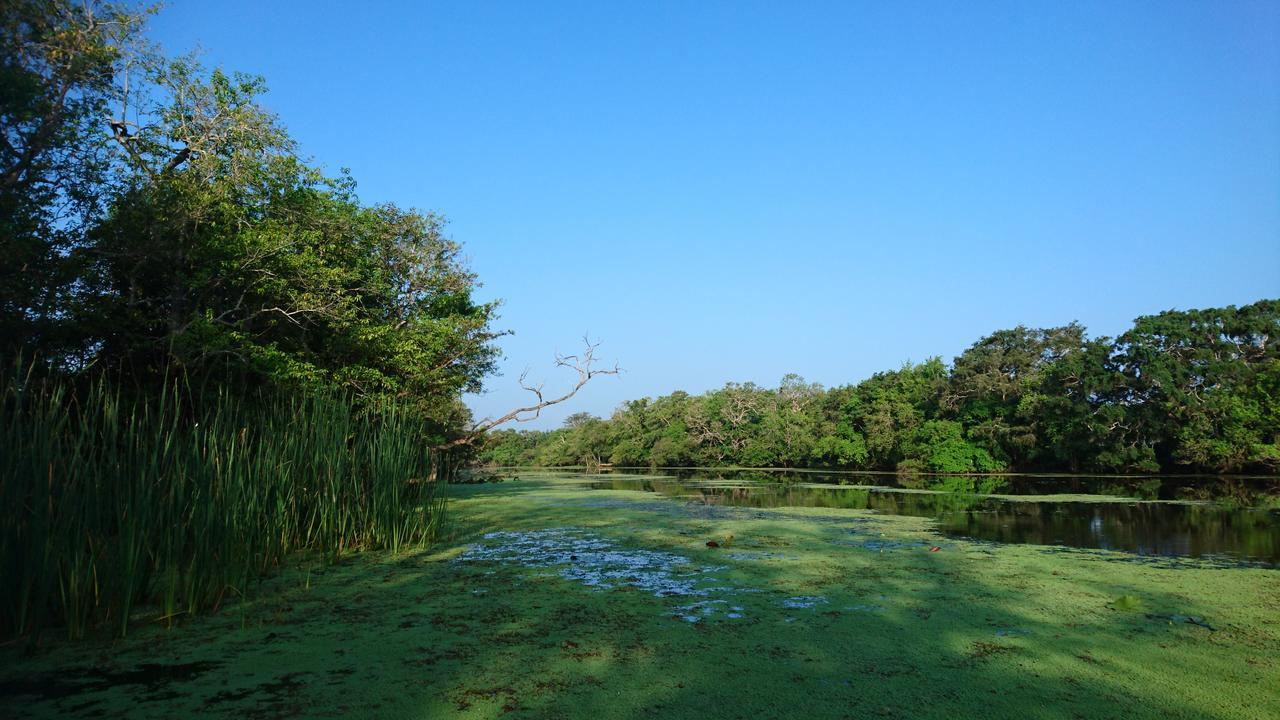 The Backwaters Lodge 윌파투 외부 사진