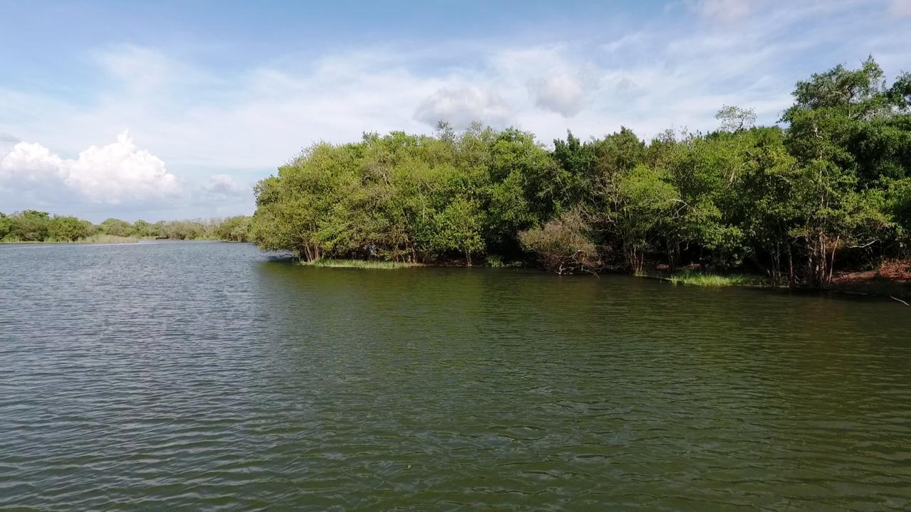 The Backwaters Lodge 윌파투 외부 사진